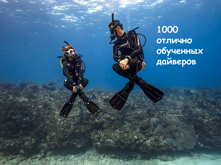 Дайвинг сайт знакомств