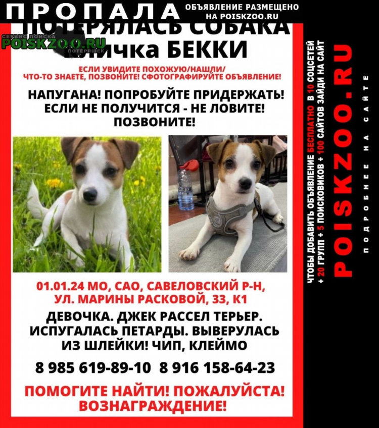 Девушка ищет девушку объявления москва