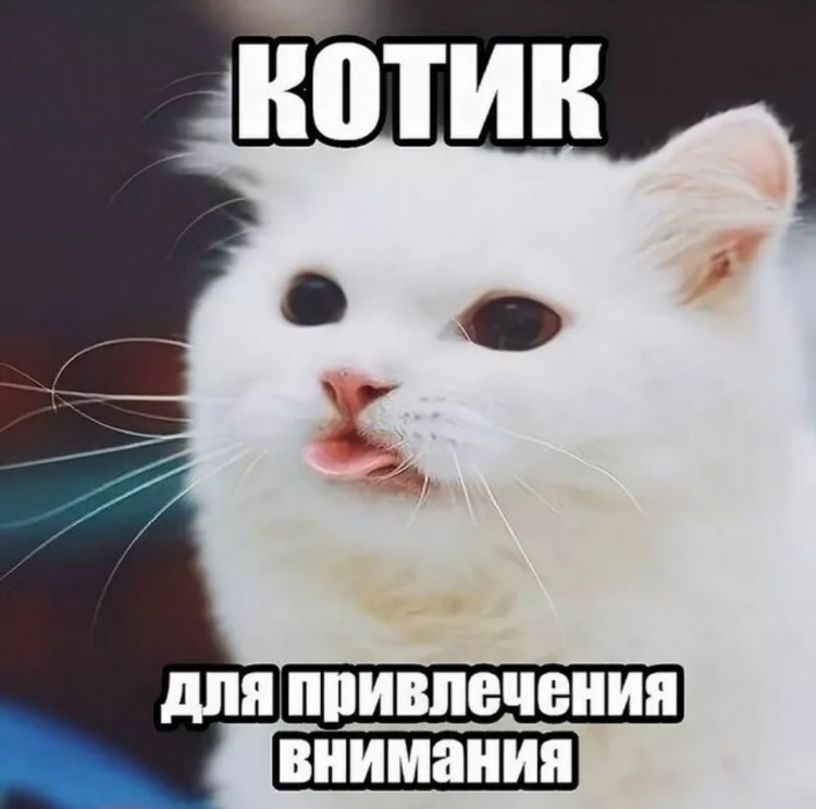 Где можно найти парня в интернете