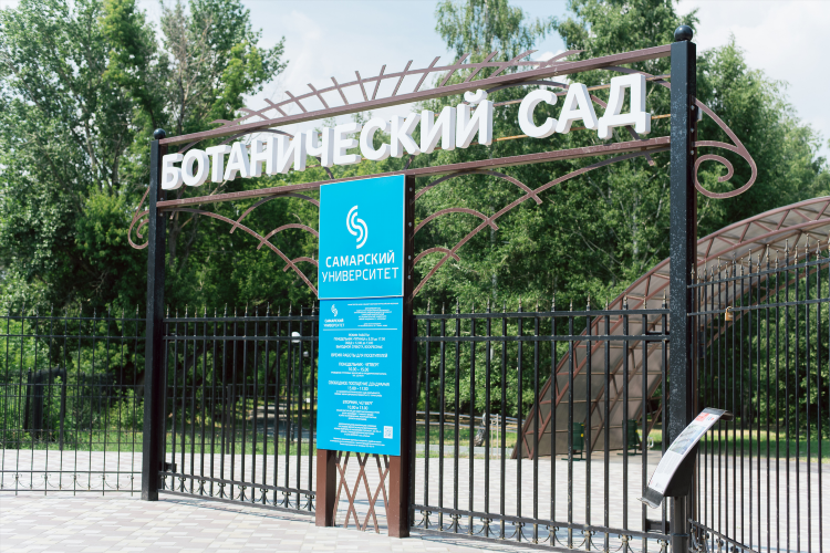 Знакомства в самаре без регистрации бесплатно с мужчинами